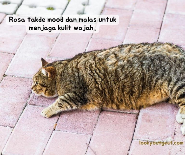 takde mood - kepentingan sunscreen untuk jeragat